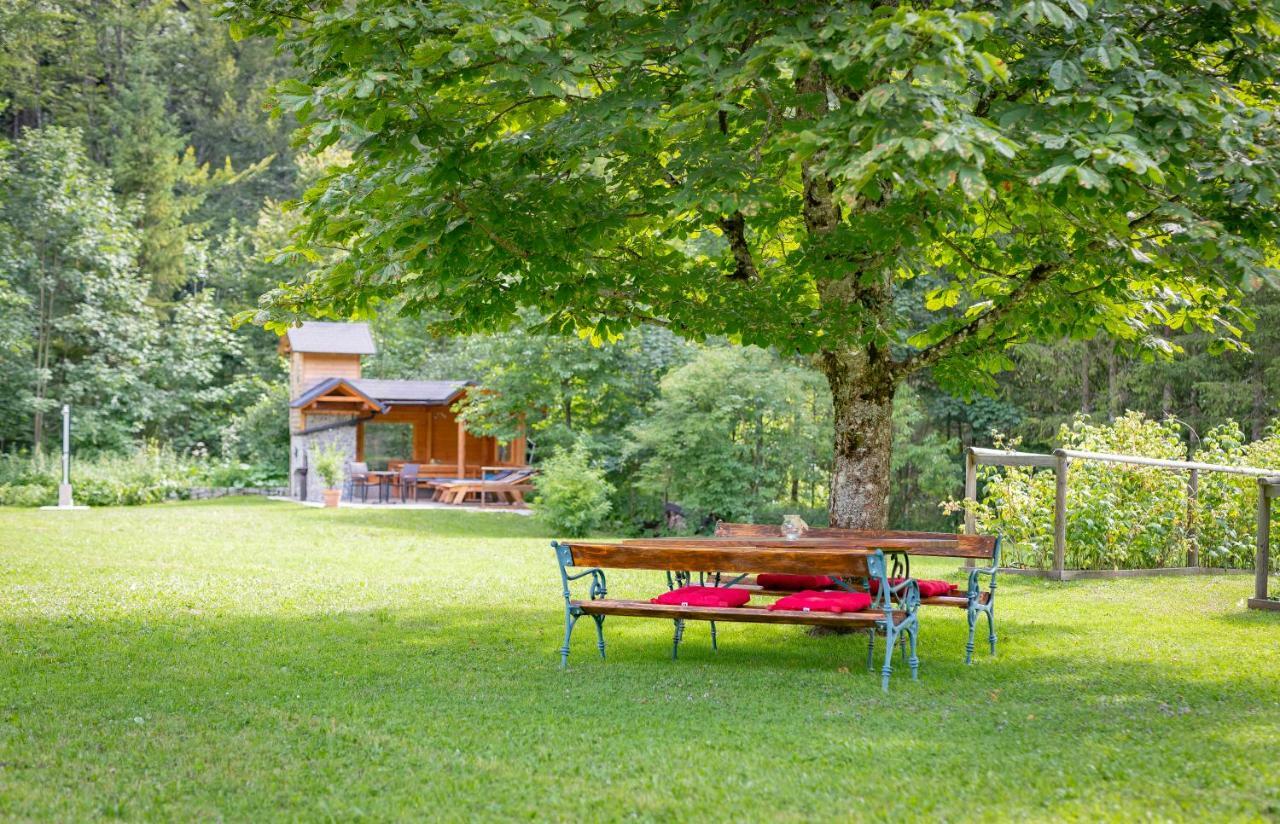 Ferienhaus Goestling Villa Goestling an der Ybbs Exterior photo